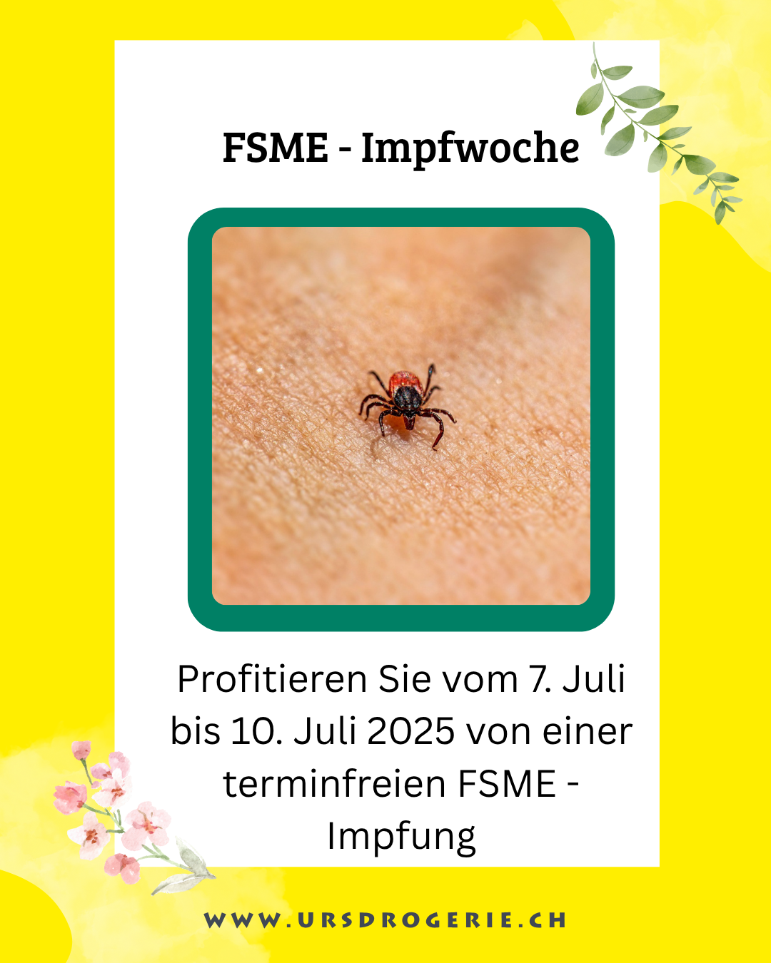 2025_07_07_FSME.png