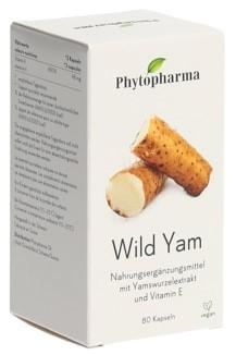 PHYTOPHARMA Wild Yam Kaps 80 Stk