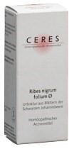 CERES Ribes nigrum folium Urtinkt 20 ml