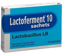LACTOFERMENT Plv 10 Btl 10 g