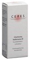 CERES Glechoma hederacea Urtinkt 20 ml
