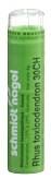 SN Rhus Toxicodendron Gran CH 30 4 g