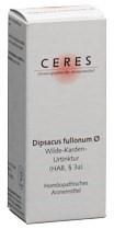 CERES Dipsacus fullonum Urtinkt 20 ml
