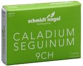 SN Caladium seguinum Glob CH 9 5 x 1 g