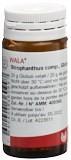 WALA Strophanthus comp Glob Fl 20 g