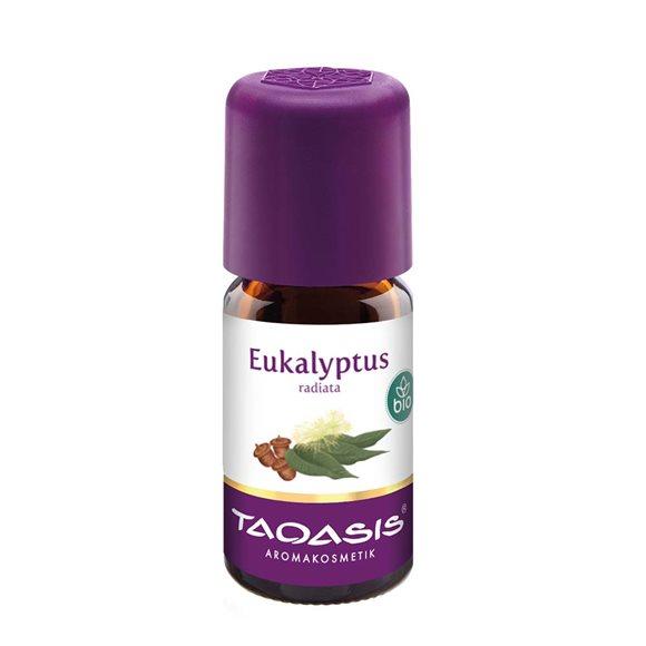 TAOASIS Eukalyptus radiata Äth/Öl Bio/demeter 5 ml