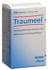 TRAUMEEL Tabl Ds 250 Stk