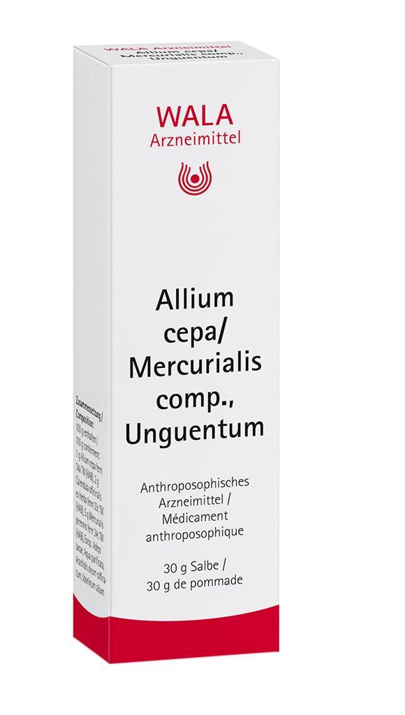 WALA Allium cepa/Mercurialis comp Salbe Tb 30 g
