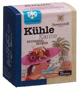 SONNENTOR Kühle Kanne Teepyr Erdb-Ingwer 16 Stk
