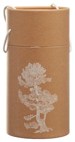 AROMALIFE Pinus Cembra Dufth Globe inkl äth Öl&Spä