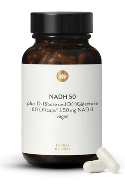 Sunday NADH 50mg 60 Kaps
