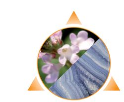 Aton Flower & Stone Konzentration