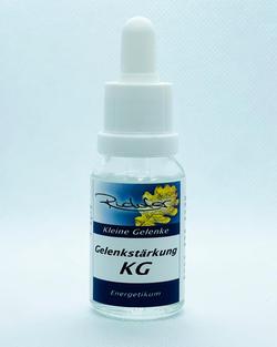 Richter Gelenkstärkung (kleine Gelenke) 15ml