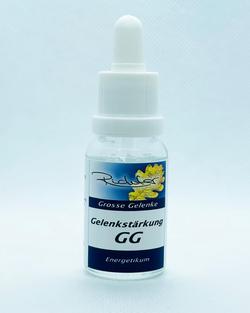 Richter Gelenkstärkung (grosse Gelenke) 15ml