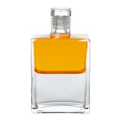 Aura Soma Equi. B73 Gold/Klar 50ml