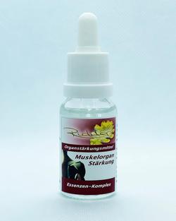 Richter Muskelstärkung 15ml