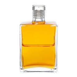 Aura Soma Equi. B41 Gold/Gold 50ml
