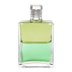 Aura Soma Equi. B53 Blassgrün/Bl.grün 50ml