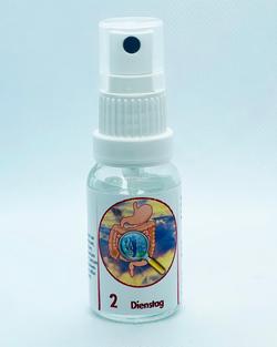 Richter Gastrointestinal Box Spray Nr.2