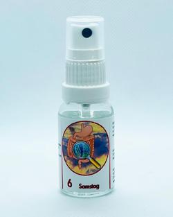 Richter Gastrointestinal Box Spray Nr.6