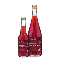 BIOFARM erntestolz Apfel/Brombeer CH 275 ml