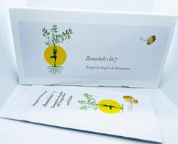 Richter Box Auraschutz komplett