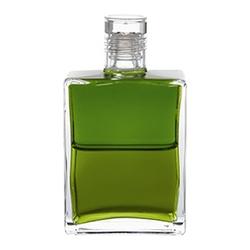 Aura Soma Equi. B91 Olivgrün/Olivgrün 50ml