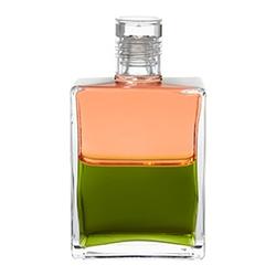 Aura Soma Equi. B92 Koralle/Olivgrün 50ml