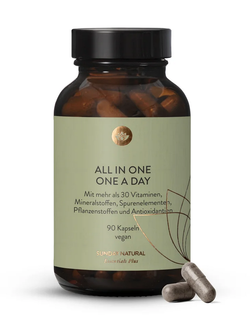 Sunday All in One a Day XL 90Kapseln vegan