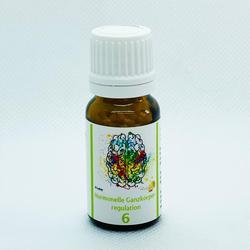 Richter Box Hormonelle-Ganzk.-Regulation Glob.Nr.6