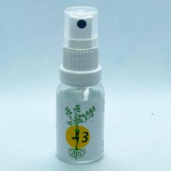Richter Auraschutz Box Spray Nr.3