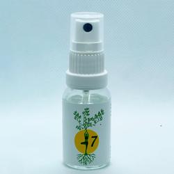 Richter Auraschutz Box Spray Nr.7