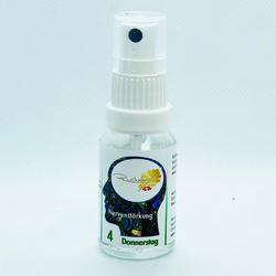 Richter Nervenstärkung Spray Nr.4