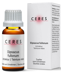 CERES Dipsacus fullonum Urtinkt 20 ml