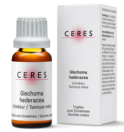 CERES Glechoma hederacea Urtinkt 20 ml