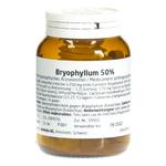 WELEDA Bryophyllum Kautabl 50 % 50 g / Bild 1