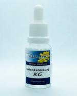 Richter Gelenkstärkung (kleine Gelenke) 15ml / Bild 1