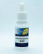Richter Gelenkstärkung (grosse Gelenke) 15ml / Bild 1