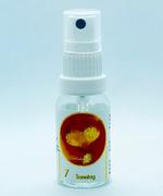 Richter Herz Box Spray Nr.7 / Bild 1
