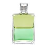 Aura Soma Equi. B53 Blassgrün/Bl.grün 50ml / Bild 1