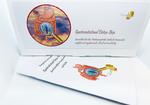 Richter Box Gastrointestinal Detox Komplett / Bild 1