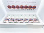 Richter Box Gastrointestinal Detox Komplett / Bild 2