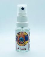 Richter Gastrointestinal Box Spray Nr.6 / Bild 1