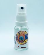 Richter Gastrointestinal Box Spray Nr.7 / Bild 1