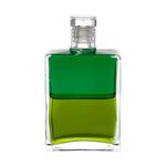 Aura Soma Equi. B113 Smaragdgr/Mittl.Oliv  50ml / Bild 1