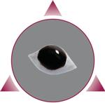 ATON Augenachat Spr 20 ml / Bild 1