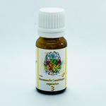 Richter Box Hormonelle-Ganzk.-Regulation Glob.Nr.3 / Bild 1