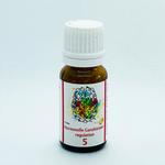Richter Box Hormonelle-Ganzk.-Regulation Glob.Nr.5 / Bild 1
