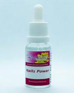 Richter Nails Power / Bild 1