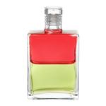 Aura Soma Equi. B109 magenta/mittelolivgr 50ml / Bild 1